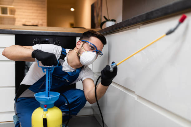 Best Termite Control Services  in Plainsboro Center, NJ