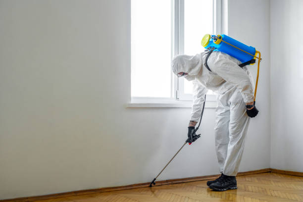 Best Insect Control  in Plainsboro Center, NJ