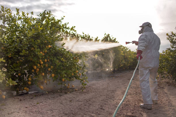 Best Pest Control Treatment  in Plainsboro Center, NJ