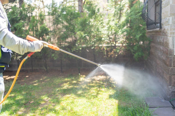 Best Spider Control Near Me  in Plainsboro Center, NJ