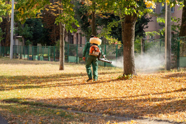 Best Best Pest Control Near Me  in Plainsboro Center, NJ