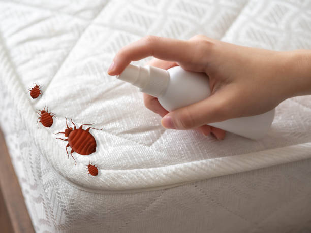  Plainsboro Center, NJ Pest Control Pros