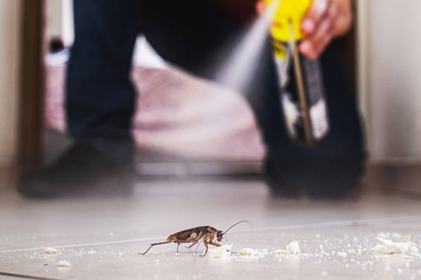 Best Mosquito Control Services  in Plainsboro Center, NJ