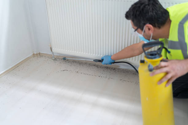 Best Affordable Pest Control Services  in Plainsboro Center, NJ