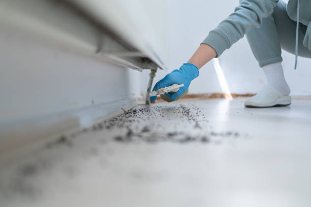 Best Mosquito Control Services  in Plainsboro Center, NJ